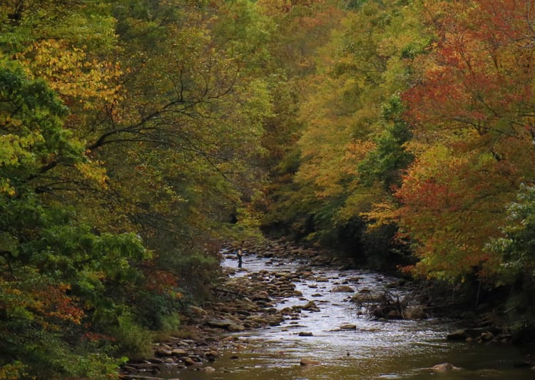 2025 Fall Season Overview (free)