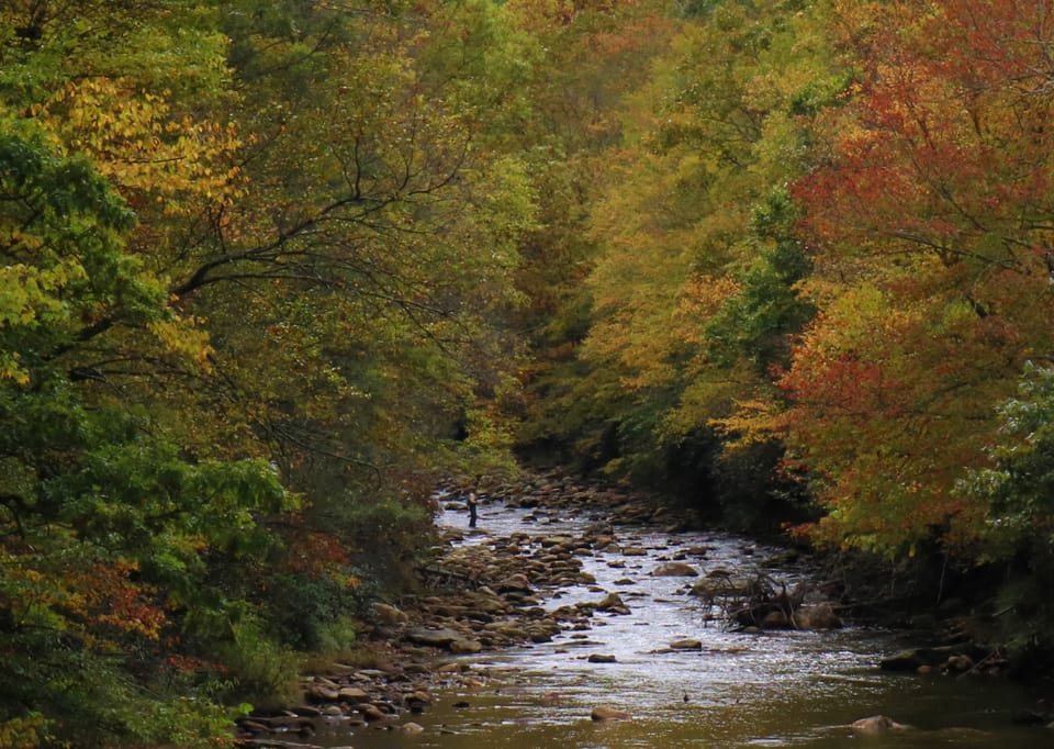 2025 Fall Season Overview (free)